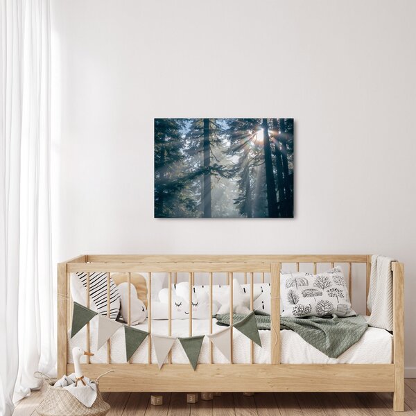 Obraz drzew, przez które prześwieca słońce (70x50 cm)