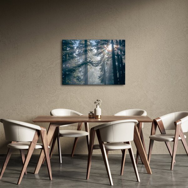 Obraz drzew, przez które prześwieca słońce (70x50 cm)