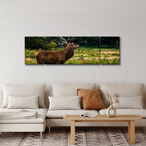 Obraz jelenia (170x50 cm)