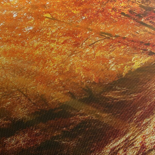 Obraz jesiennego lasu (170x50 cm)