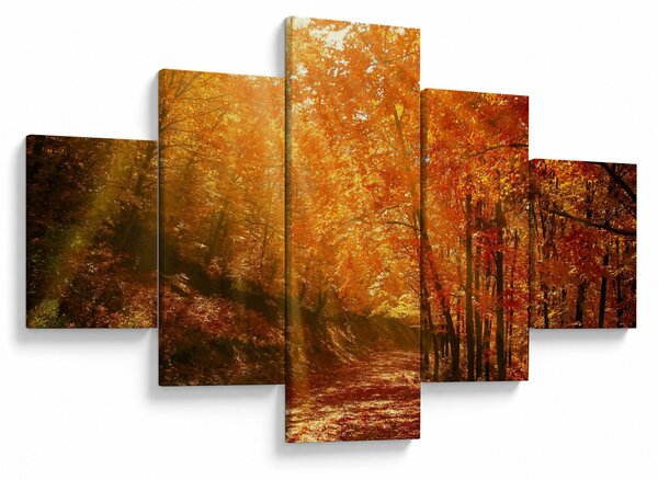 Obraz jesiennego lasu (125x70 cm)