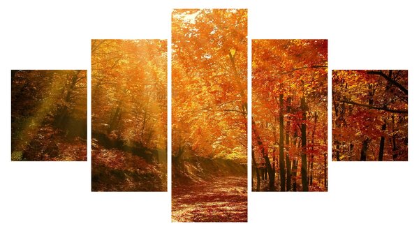 Obraz jesiennego lasu (125x70 cm)