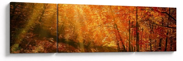 Obraz jesiennego lasu (170x50 cm)
