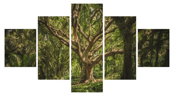 Obraz drzewa (125x70 cm)
