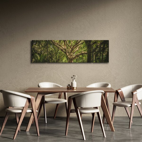 Obraz drzewa (170x50 cm)
