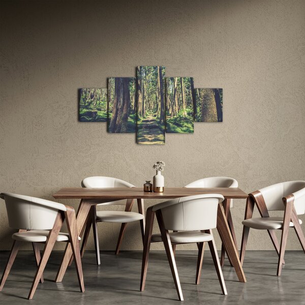 Obraz ścieżki pomiędzy drzewami (125x70 cm)