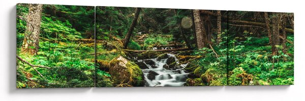 Obraz strumienia w lesie (170x50 cm)