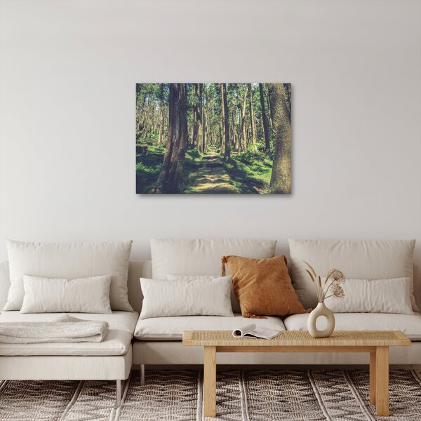 Obraz ścieżki pomiędzy drzewami (70x50 cm)