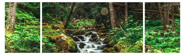 Obraz strumienia w lesie (170x50 cm)