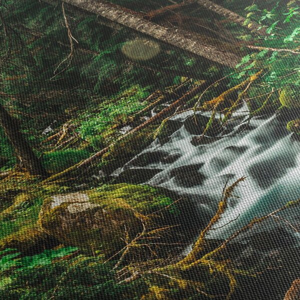 Obraz strumienia w lesie (125x70 cm)