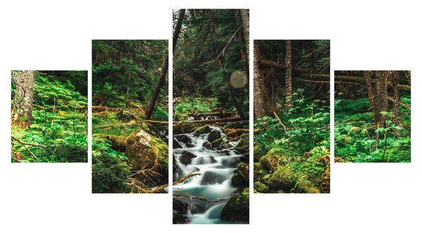Obraz strumienia w lesie (125x70 cm)
