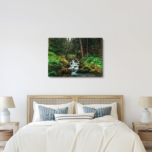 Obraz strumienia w lesie (70x50 cm)