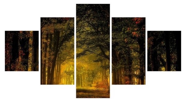Obraz lasu (125x70 cm)