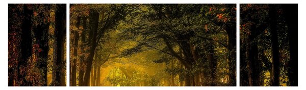 Obraz lasu (170x50 cm)