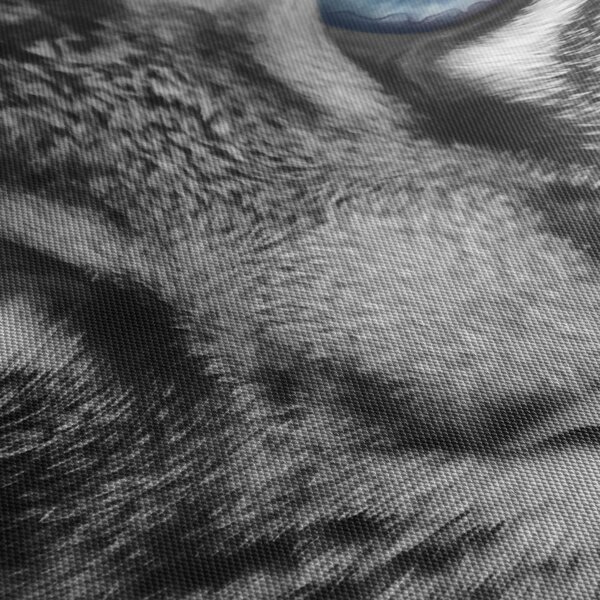 Obraz kota (170x50 cm)