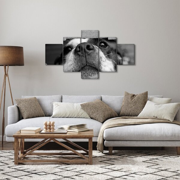 Obraz psa (125x70 cm)