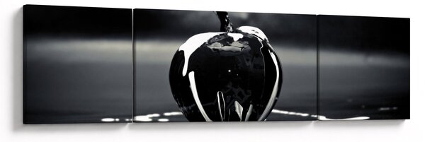 Obraz czarnego jabłka (170x50 cm)