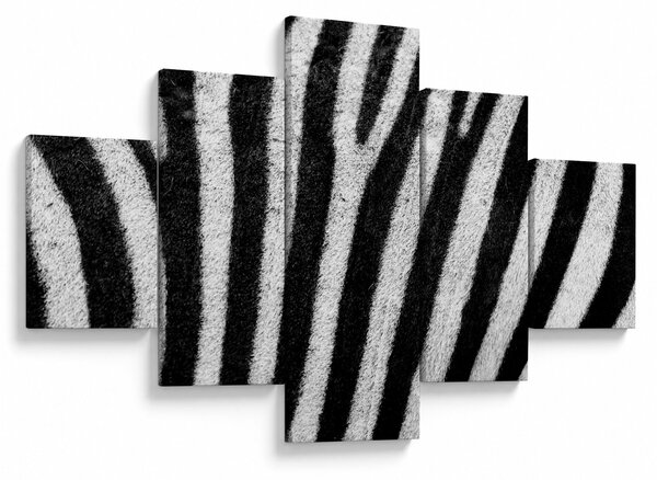 Obraz skóry zebry (125x70 cm)
