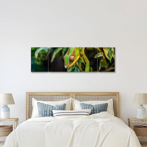 Obraz kameleona (170x50 cm)