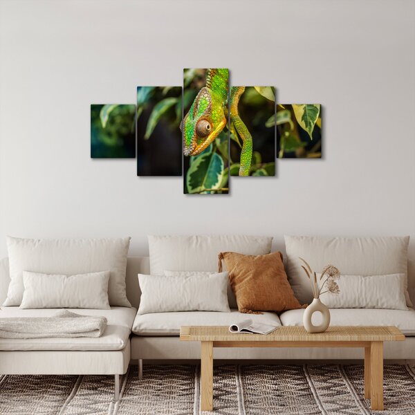 Obraz kameleona (125x70 cm)