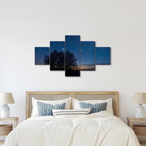 Obraz drzew w nocy (125x70 cm)
