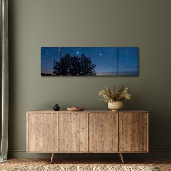 Obraz drzew w nocy (170x50 cm)