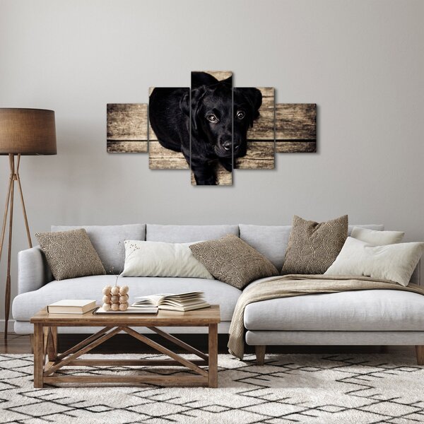 Obraz czarnego szczeniaka (125x70 cm)