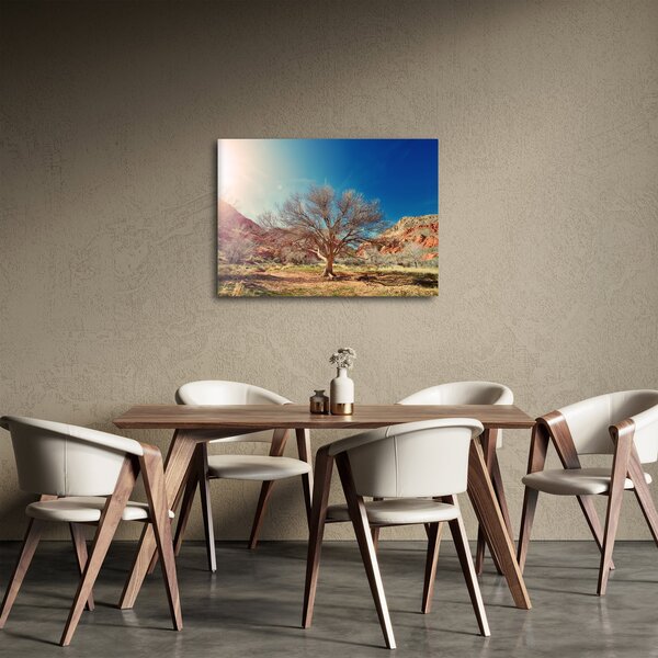 Obraz drzewa na pustyni (70x50 cm)