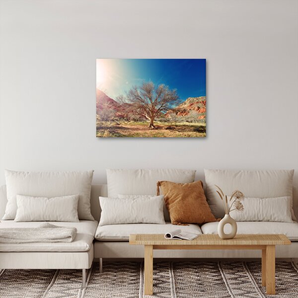 Obraz drzewa na pustyni (70x50 cm)