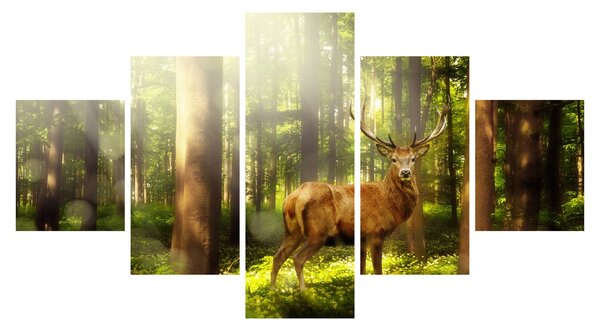 Obraz jelenia w lesie (125x70 cm)