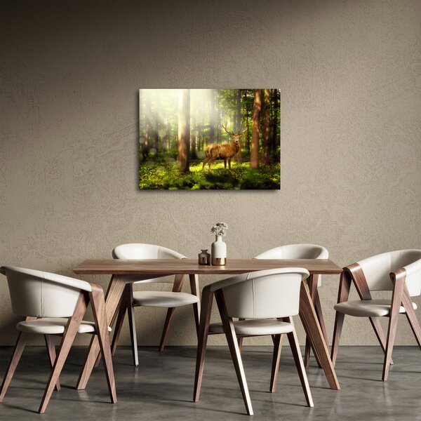 Obraz jelenia w lesie (70x50 cm)