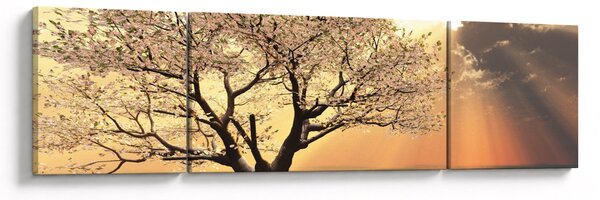 Obraz drzewa na łące (170x50 cm)