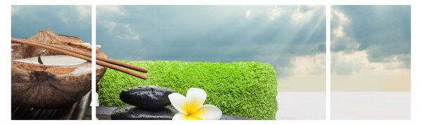 Obraz - Spa and relakx (170x50 cm)