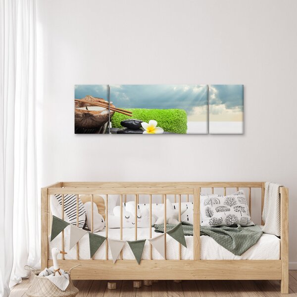 Obraz - Spa and relakx (170x50 cm)