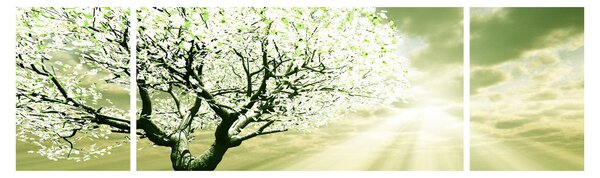 Obraz drzewa na łące (170x50 cm)