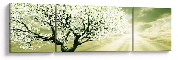 Obraz drzewa na łące (170x50 cm)