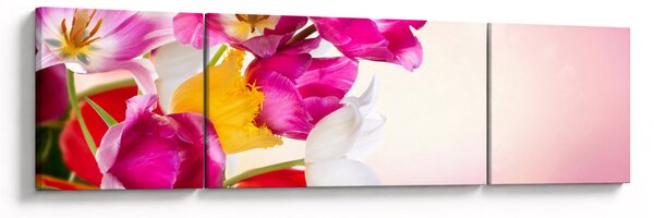 Obraz tulipanów (170x50 cm)