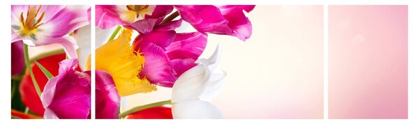 Obraz tulipanów (170x50 cm)