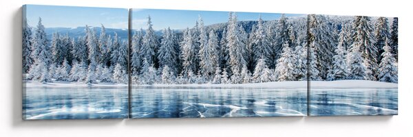 Obraz zamarzniętego jeziora i pokrytych śniegiem drzew (170x50 cm)