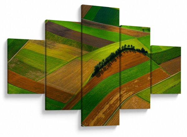 Obraz - Pola, łąki (125x70 cm)