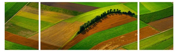 Obraz - Pola, łąki (170x50 cm)