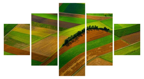 Obraz - Pola, łąki (125x70 cm)