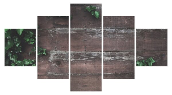 Obraz - Bluszcz (125x70 cm)