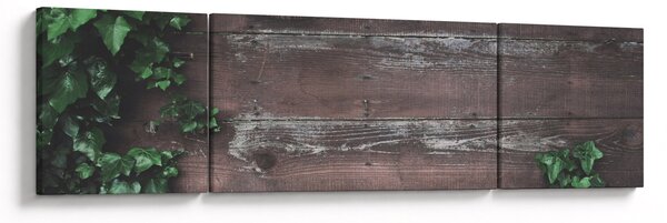 Obraz - Bluszcz (170x50 cm)
