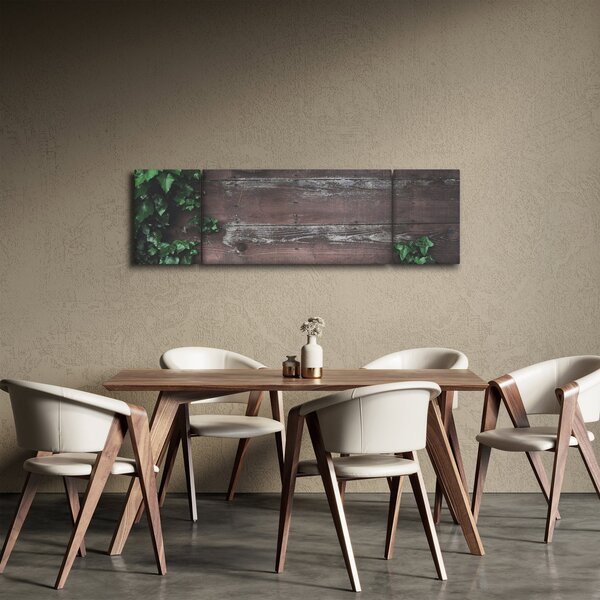 Obraz - Bluszcz (170x50 cm)