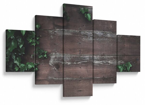 Obraz - Bluszcz (125x70 cm)