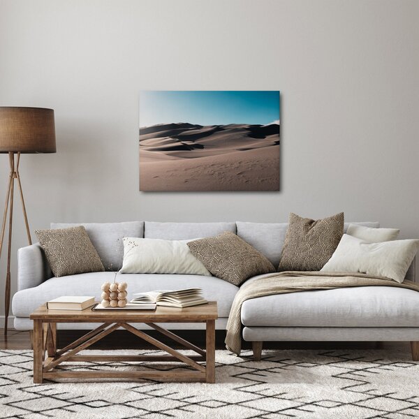 Obraz - Z pustyni (70x50 cm)