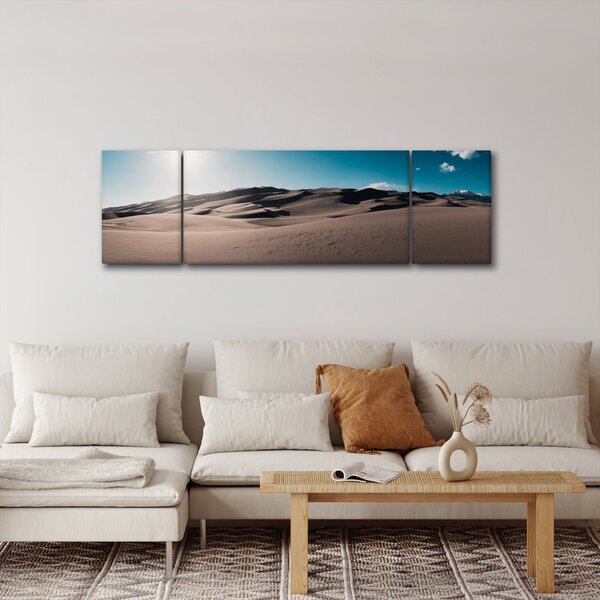 Obraz - Z pustyni (170x50 cm)