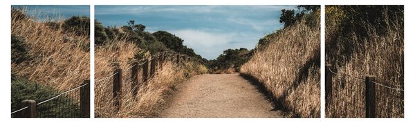 Obraz - Na szlaku (170x50 cm)