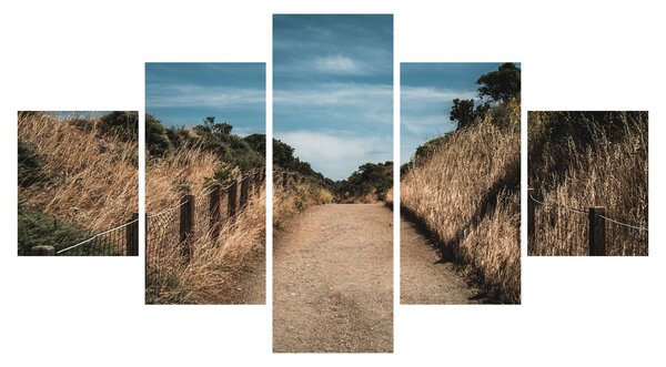 Obraz - Na szlaku (125x70 cm)